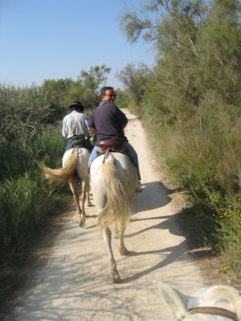 Camargue103.jpg   35kb   26.03.2021 22:22:42