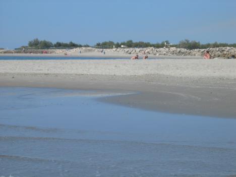 Camargue154.jpg   17kb   26.03.2021 22:22:47