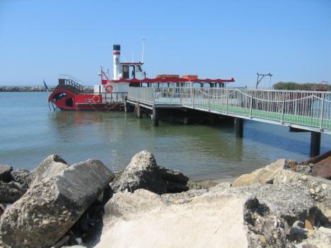 Camargue162.jpg   33kb   26.03.2021 22:22:48