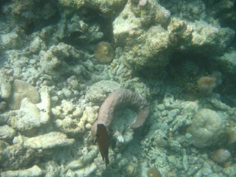 IMG_1443.jpg   29kb   26.03.2021 22:29:07