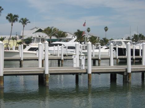Florida229.jpg   26kb   26.03.2021 22:36:04