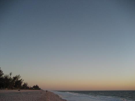 Florida319.jpg   7kb   26.03.2021 22:36:13