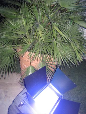 Seefeste031.jpg   35kb   26.03.2021 22:40:57