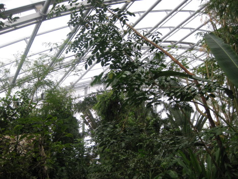 IMG_2874.jpg   104kb   26.03.2021 22:44:29