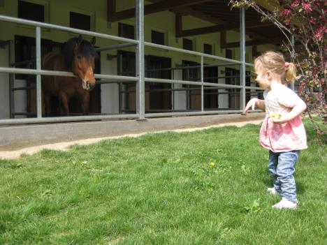 IMG_3303.jpg   34kb   26.03.2021 22:44:53
