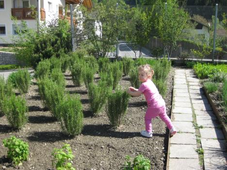 IMG_3383.jpg   46kb   26.03.2021 22:44:58